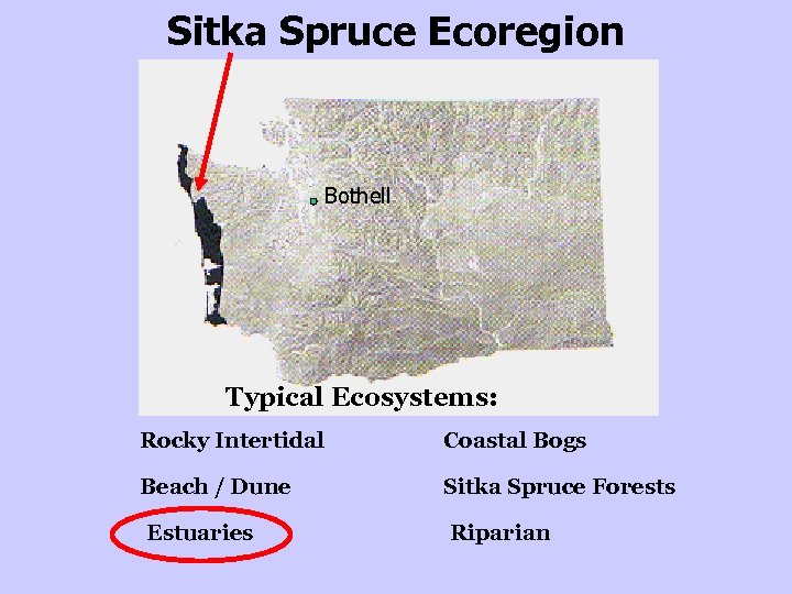 Sitka Spruce Ecoregion Bothell Typical Ecosystems: Rocky Intertidal Coastal Bogs Beach / Dune Sitka