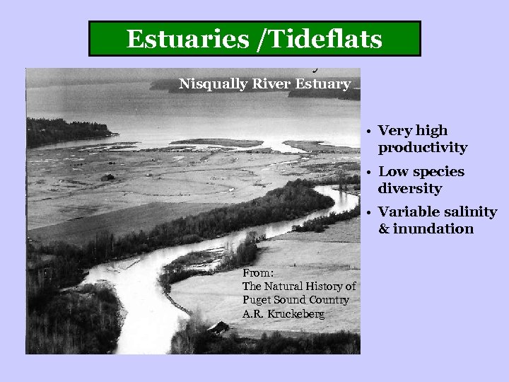 Estuaries /Tideflats Nisqually River Estuary • Very high productivity • Low species diversity •