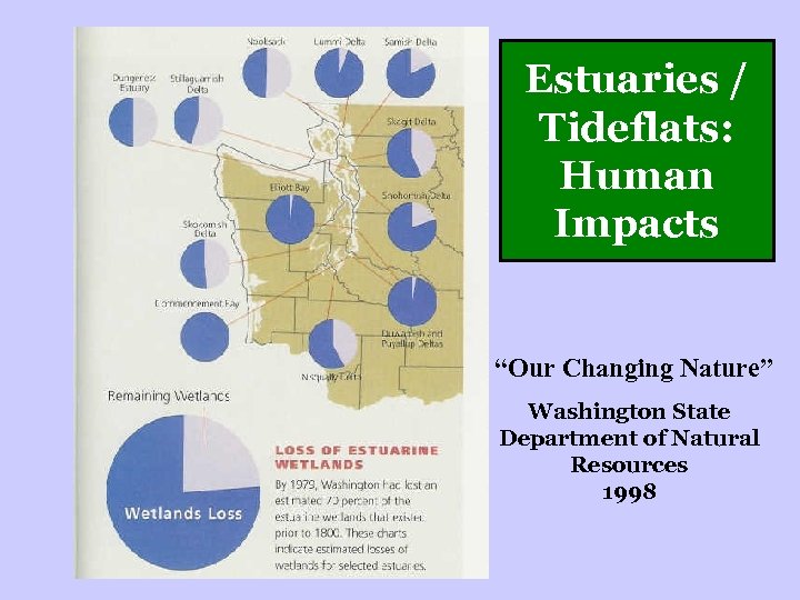 Estuaries / Tideflats: Human Impacts “Our Changing Nature” Washington State Department of Natural Resources