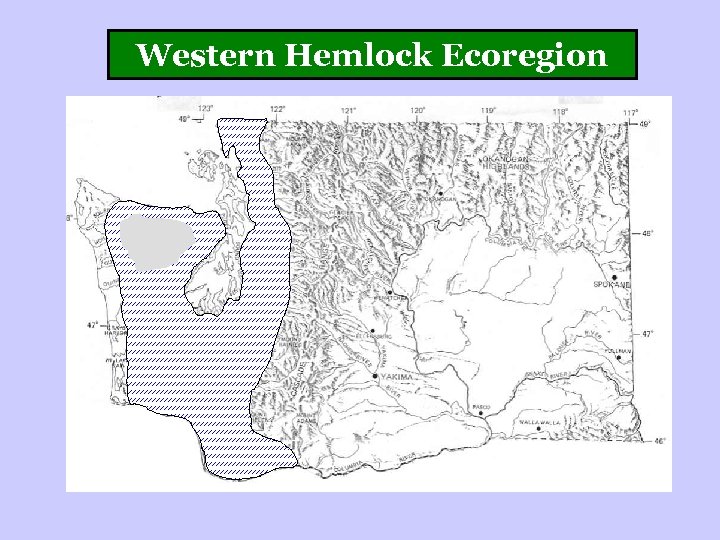 Western Hemlock Ecoregion 