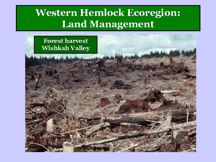 Western Hemlock Ecoregion: Land Management Forest harvest Wishkah Valley 