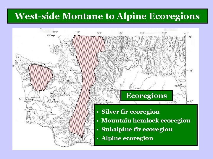 West-side Montane to Alpine Ecoregions • • Silver fir ecoregion Mountain hemlock ecoregion Subalpine