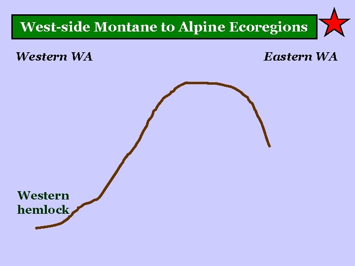 West-side Montane to Alpine Ecoregions Western WA Western hemlock Eastern WA 