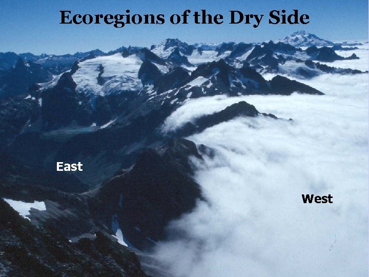 Ecoregions of the Dry Side East West 