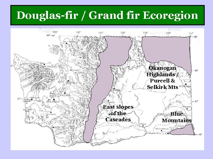 Douglas-fir / Grand fir Ecoregion Okanogan Highlands / Purcell & Selkirk Mts East slopes