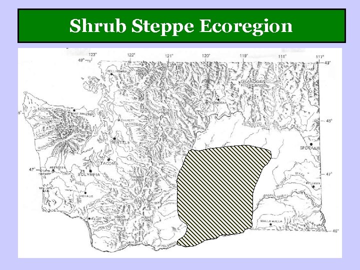 Shrub Steppe Ecoregion 