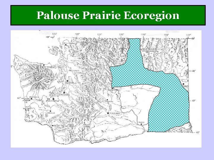 Palouse Prairie Ecoregion 