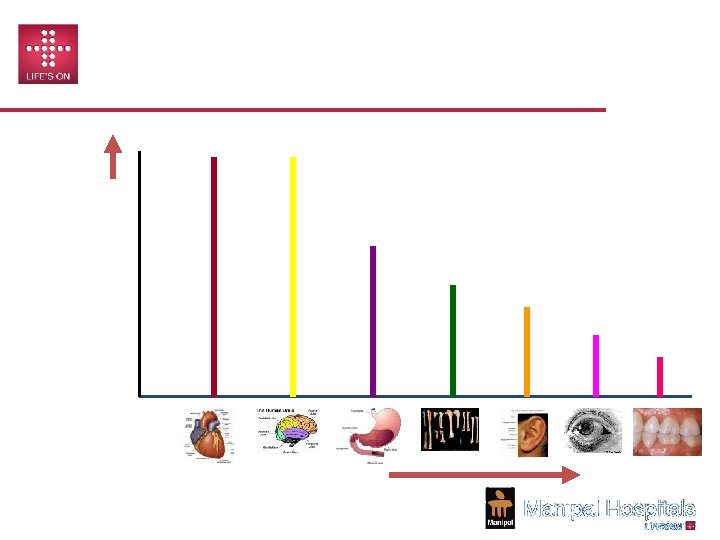 CHANGING EGO LEVELS Ego Levels of Health Professionals Ego Levels vs. Criticality of Organs