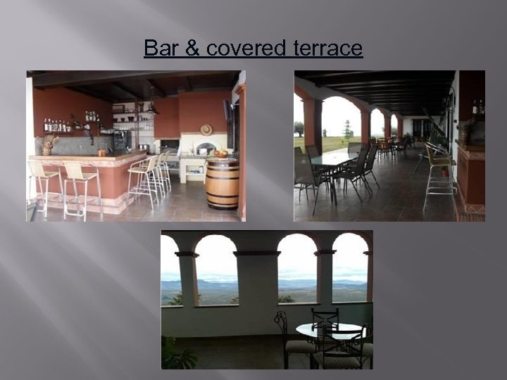 Bar & covered terrace 