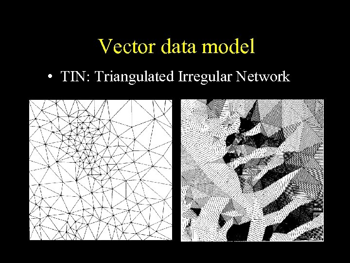 Vector data model • TIN: Triangulated Irregular Network 