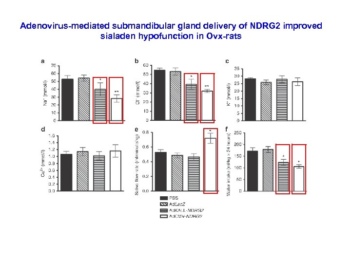 Adenovirus-mediated submandibular gland delivery of NDRG 2 improved sialaden hypofunction in Ovx-rats 