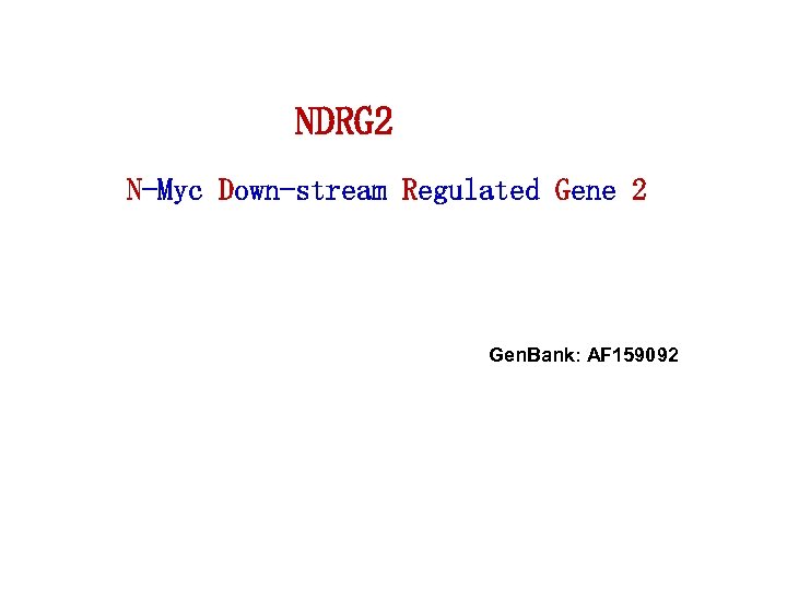 NDRG 2 N-Myc Down-stream Regulated Gene 2 Gen. Bank: AF 159092 