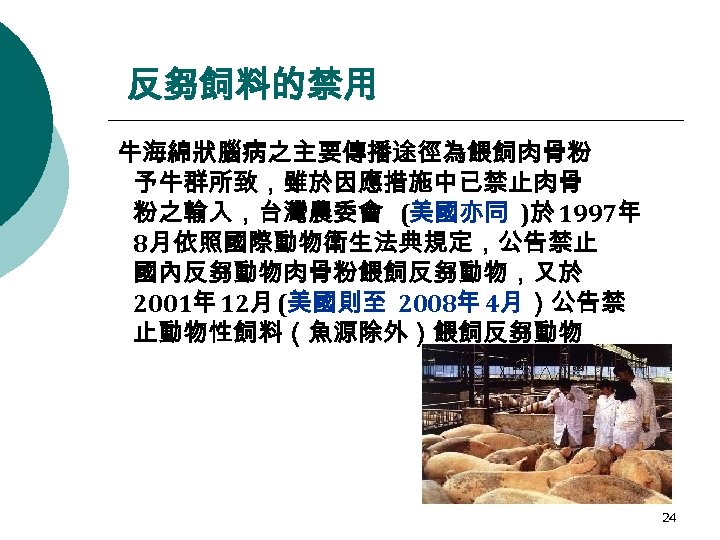 反芻飼料的禁用 　 牛海綿狀腦病之主要傳播途徑為餵飼肉骨粉 予牛群所致，雖於因應措施中已禁止肉骨 粉之輸入，台灣農委會 (美國亦同 )於 1997年 8月依照國際動物衛生法典規定，公告禁止 國內反芻動物肉骨粉餵飼反芻動物，又於 2001年 12月 (美國則至 2008年