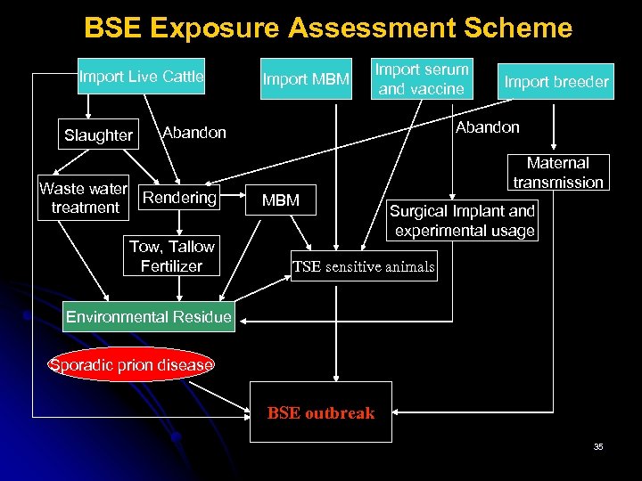 BSE Exposure Assessment Scheme Import Live Cattle Slaughter Import MBM Import serum and vaccine
