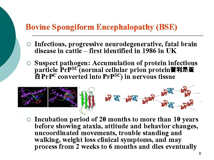 Bovine Spongiform Encephalopathy (BSE) ¡ Infectious, progressive neurodegenerative, fatal brain disease in cattle –