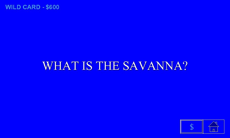 WILD CARD - $600 WHAT IS THE SAVANNA? $ 
