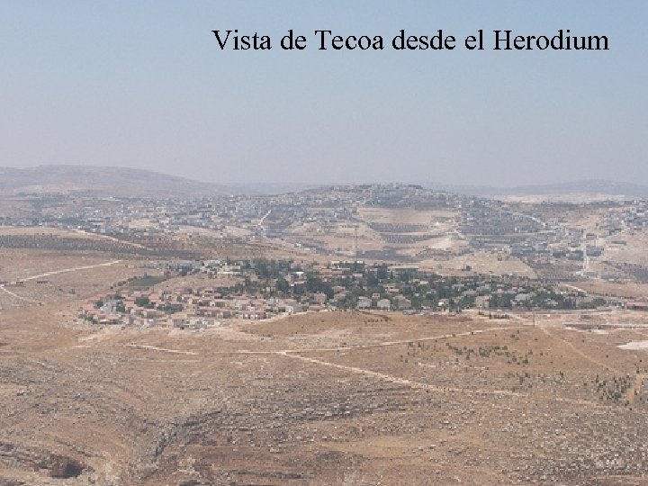 Vista de Tecoa desde el Herodium 