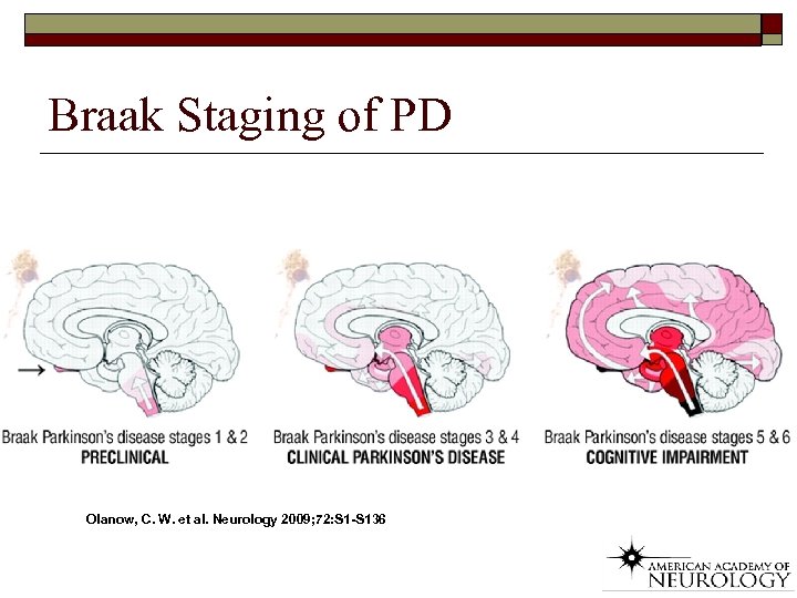 Braak Staging of PD Olanow, C. W. et al. Neurology 2009; 72: S 1