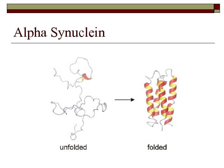 Alpha Synuclein 