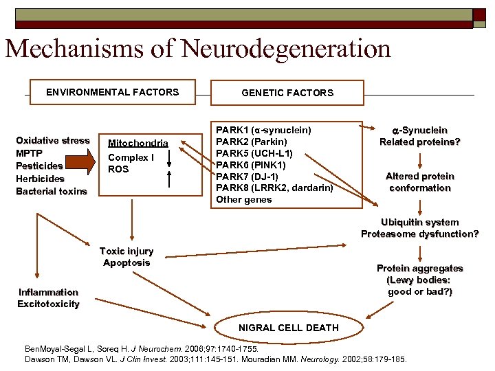 Mechanisms of Neurodegeneration ENVIRONMENTAL FACTORS Oxidative stress MPTP Pesticides Herbicides Bacterial toxins Mitochondria Complex