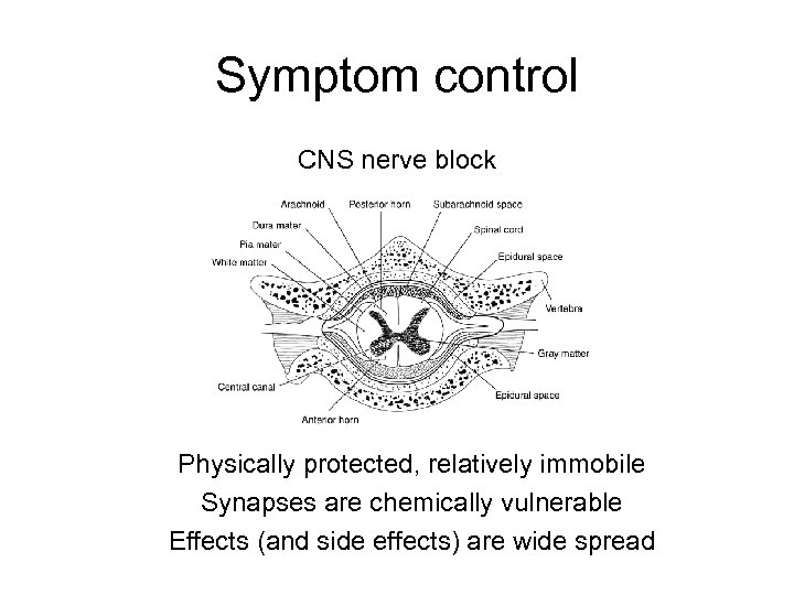 Symptom control CNS nerve block Physically protected, relatively immobile Synapses are chemically vulnerable Effects