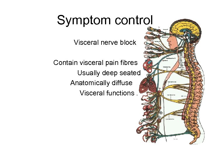 Symptom control Visceral nerve block Contain visceral pain fibres Usually deep seated Anatomically diffuse