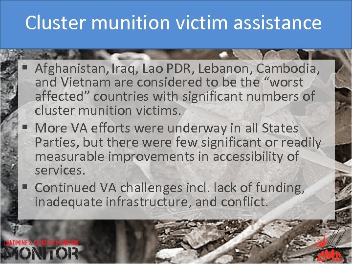 Cluster munition victim assistance § Afghanistan, Iraq, Lao PDR, Lebanon, Cambodia, and Vietnam are