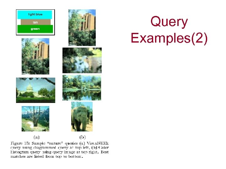 Query Examples(2) 