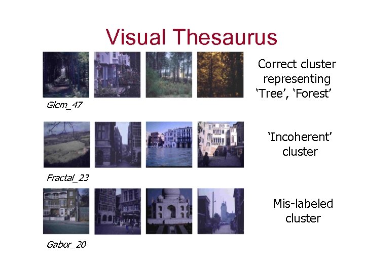 Visual Thesaurus Glcm_47 Correct cluster representing ‘Tree’, ‘Forest’ ‘Incoherent’ cluster Fractal_23 Mis-labeled cluster Gabor_20