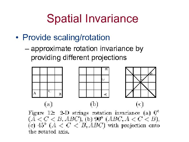 Spatial Invariance • Provide scaling/rotation – approximate rotation invariance by providing different projections 