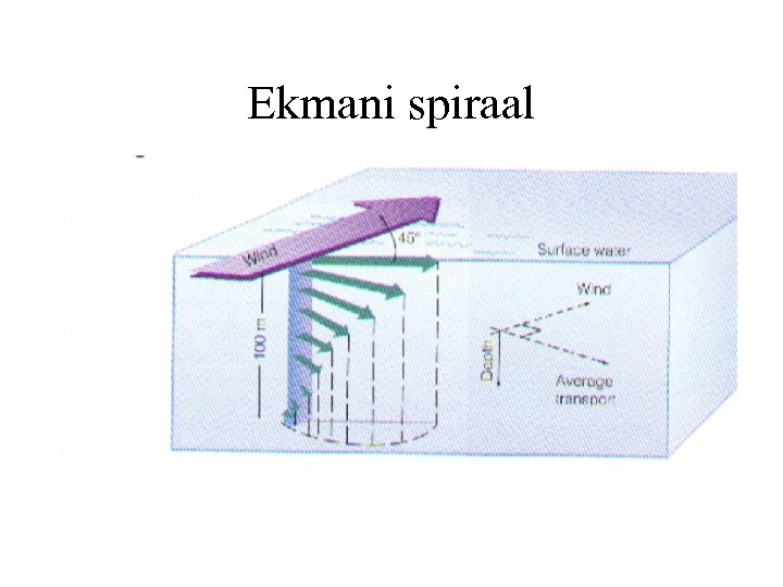 Ekmani spiraal 