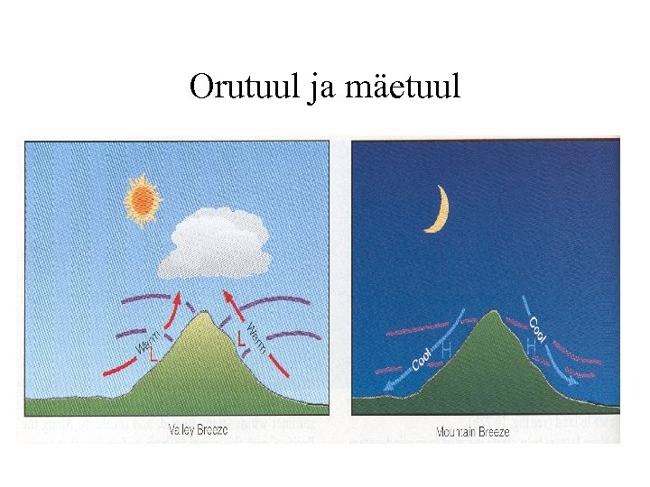 Orutuul ja mäetuul 