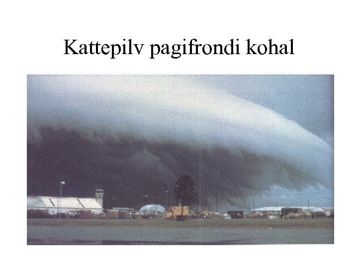 Kattepilv pagifrondi kohal 
