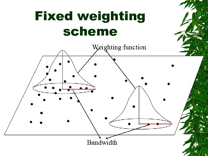Fixed weighting scheme Weighting function Bandwidth 