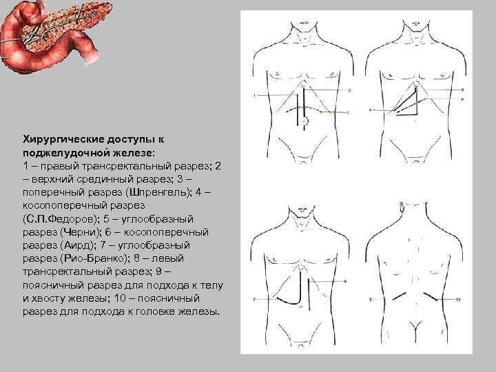 Доступ мерседес к печени