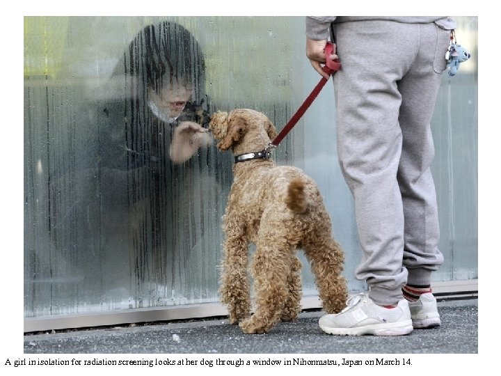 A girl in isolation for radiation screening looks at her dog through a window