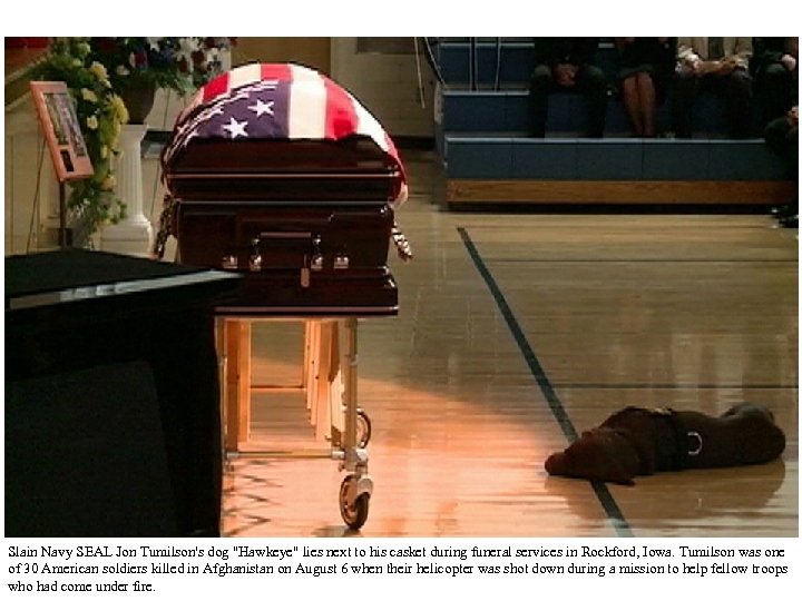 Slain Navy SEAL Jon Tumilson's dog "Hawkeye" lies next to his casket during funeral