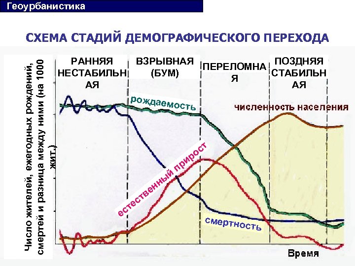 Второй демографический. Фащы географического перехода. Фазы демографического перехода. Этапы демографического перехода. Схема демографического перехода.