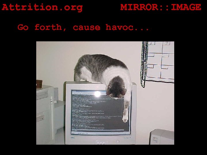 Attrition. org MIRROR: : IMAGE Go forth, cause havoc. . . 