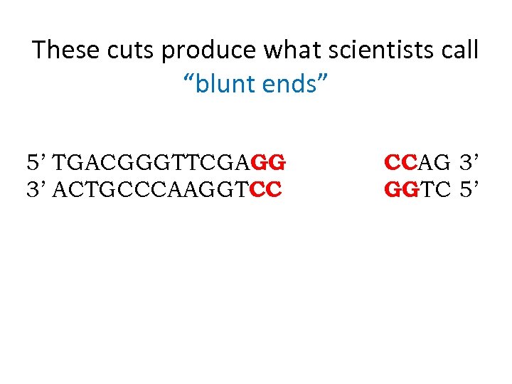 These cuts produce what scientists call “blunt ends” 5’ TGACGGGTTCGAGG 3’ ACTGCCCAAGGTCC CCAG 3’