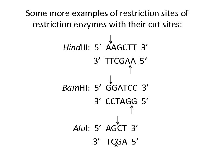 Some more examples of restriction sites of restriction enzymes with their cut sites: Hind.