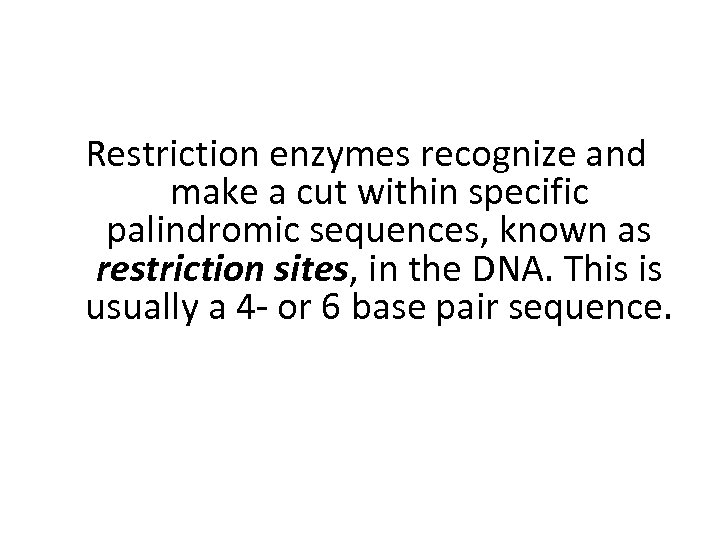 Restriction enzymes recognize and make a cut within specific palindromic sequences, known as restriction