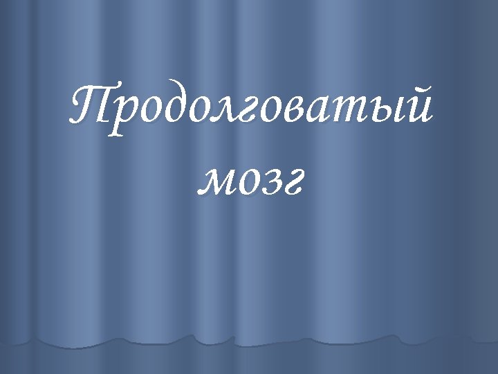 Продолговатый мозг 