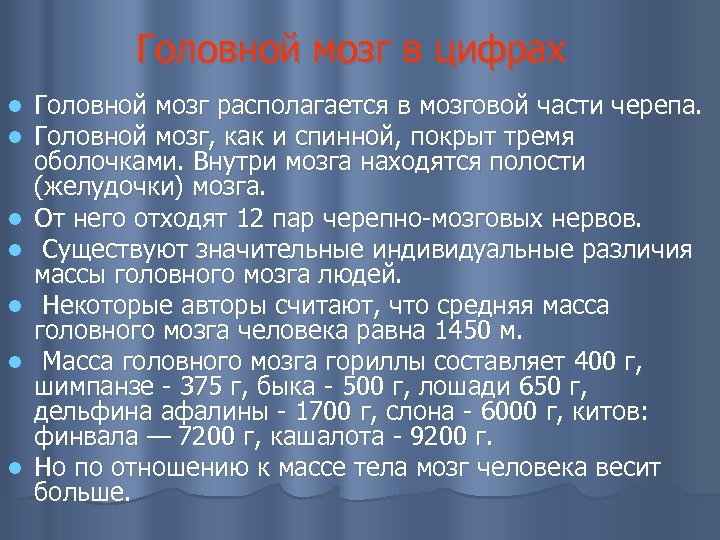 Головной мозг в цифрах l l l l Головной мозг располагается в мозговой части