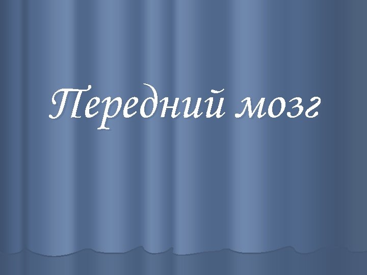 Передний мозг 