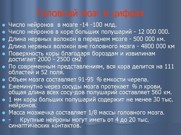 Головной мозг в цифрах l l l Число нейронов в мозге 14 100 млд.