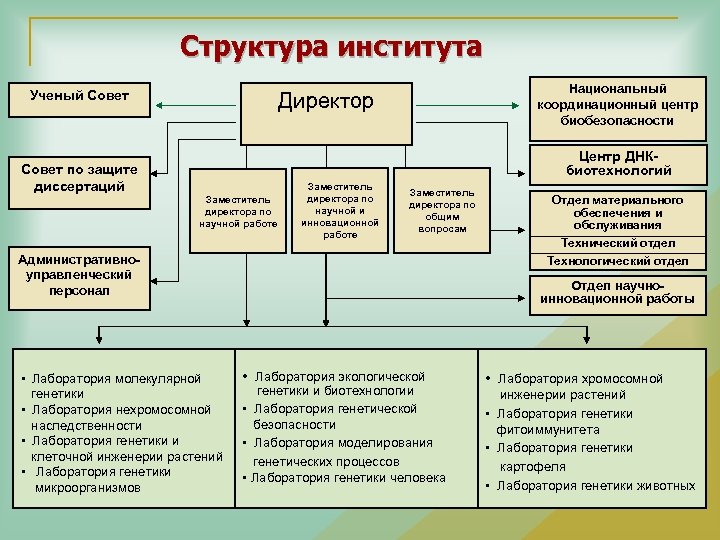 Структура института. Структура ученого совета. Научный совет структура. Структура института микроб.