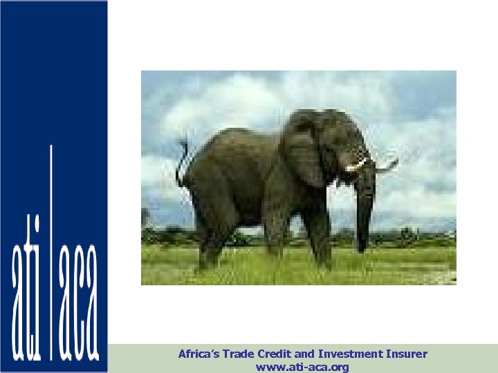 Africa’s Trade Credit and Investment Insurer www. ati-aca. org 