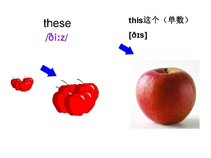 this这个（单数） [ðɪs] 