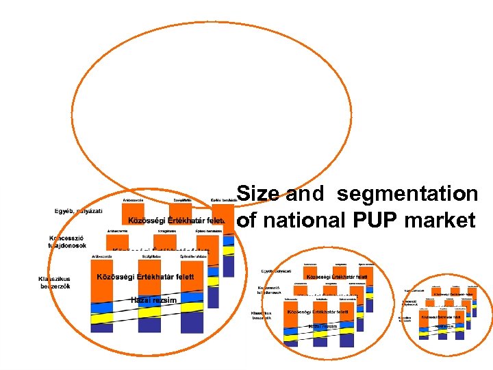 Size and segmentation of national PUP market 